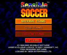 Image n° 4 - titles : Sensible Soccer